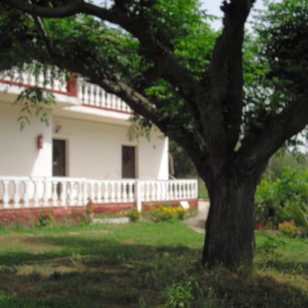 Corfu Country House Vitaládes Oda fotoğraf